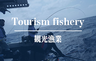 観光漁業